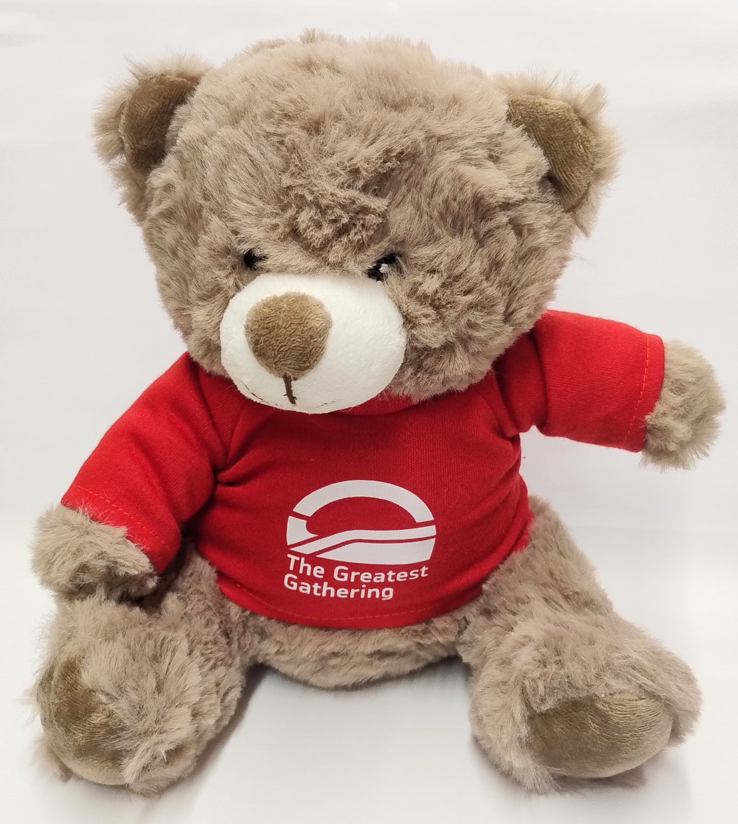 Plush Bear